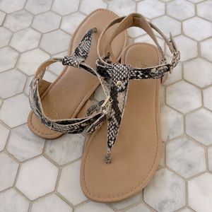 Seychelles Snakeskin Thong Sandals